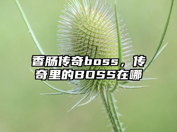香肠传奇boss，传奇里的BOSS在哪