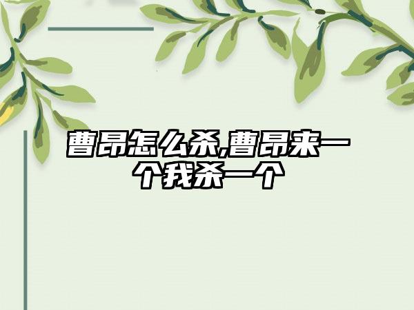 曹昂怎么杀,曹昂来一个我杀一个