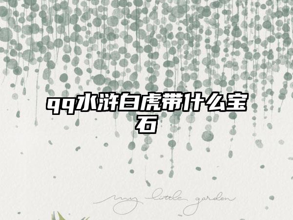 qq水浒白虎带什么宝石