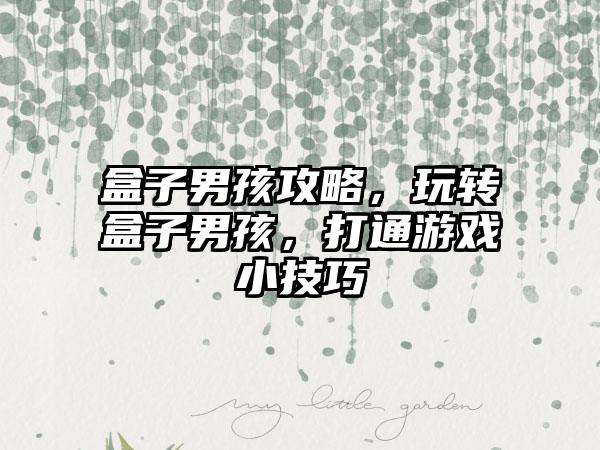 盒子男孩攻略，玩转盒子男孩，打通游戏小技巧