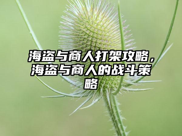 海盗与商人打架攻略，海盗与商人的战斗策略