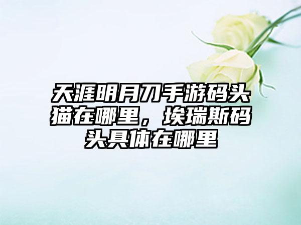 天涯明月刀手游码头猫在哪里，埃瑞斯码头具体在哪里