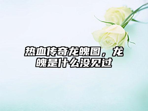 热血传奇龙魄图，龙魄是什么没见过