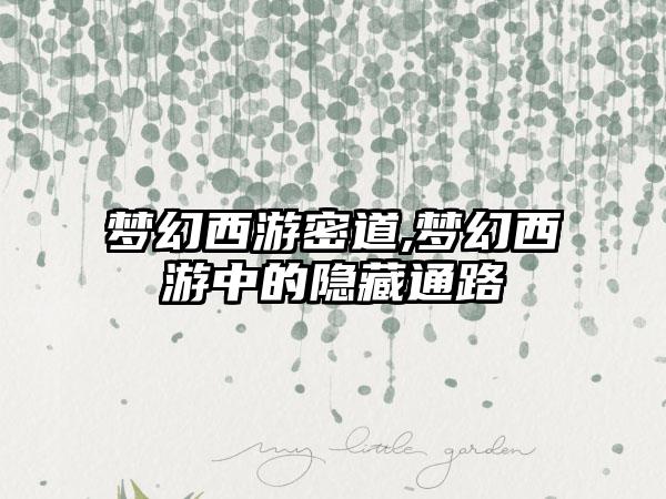 梦幻西游密道,梦幻西游中的隐藏通路
