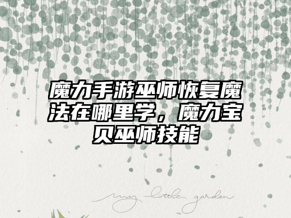 魔力手游巫师恢复魔法在哪里学，魔力宝贝巫师技能