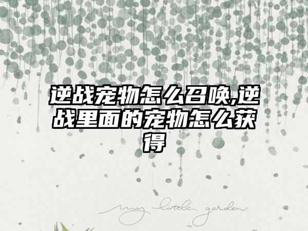 逆战宠物怎么召唤,逆战里面的宠物怎么获得