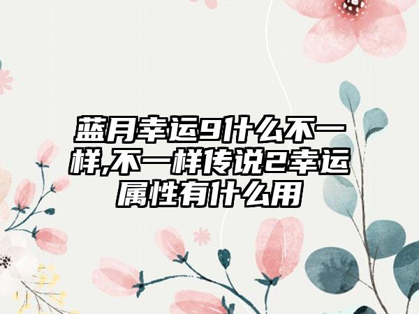 蓝月幸运9什么不一样,不一样传说2幸运属性有什么用