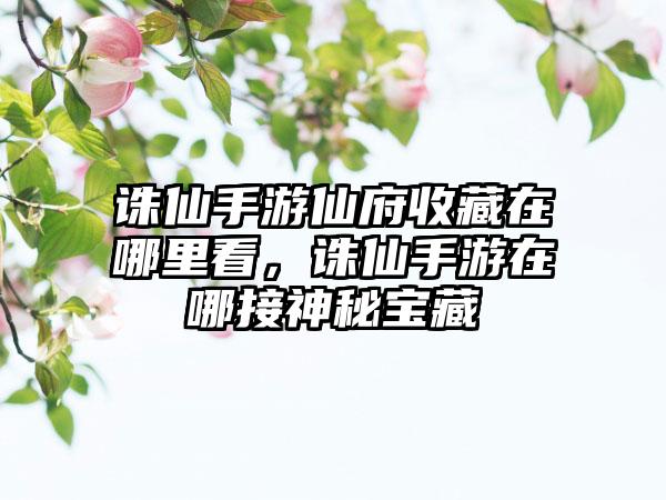诛仙手游仙府收藏在哪里看，诛仙手游在哪接神秘宝藏