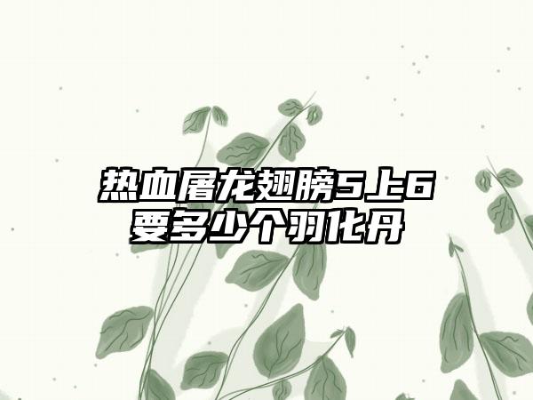 热血屠龙翅膀5上6要多少个羽化丹