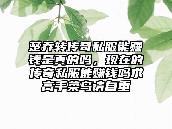 楚乔转传奇私服能赚钱是真的吗，现在的传奇私服能赚钱吗求高手菜鸟请自重