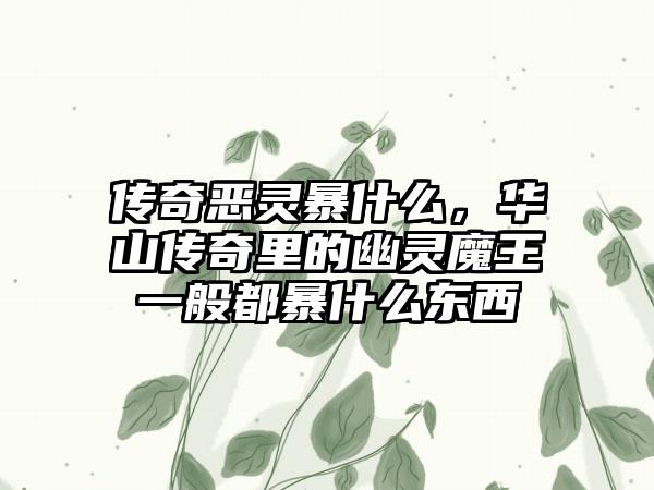 传奇恶灵暴什么，华山传奇里的幽灵魔王一般都暴什么东西