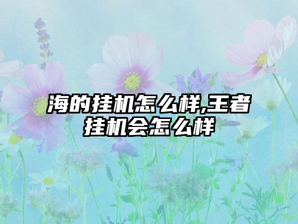 海的挂机怎么样,王者挂机会怎么样
