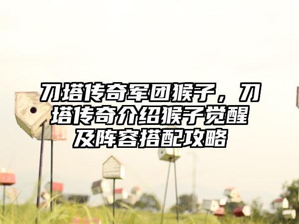 刀塔传奇军团猴子，刀塔传奇介绍猴子觉醒及阵容搭配攻略