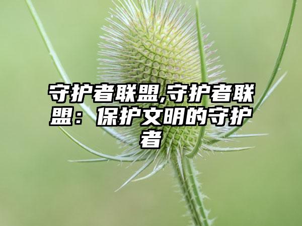 守护者联盟,守护者联盟：保护文明的守护者