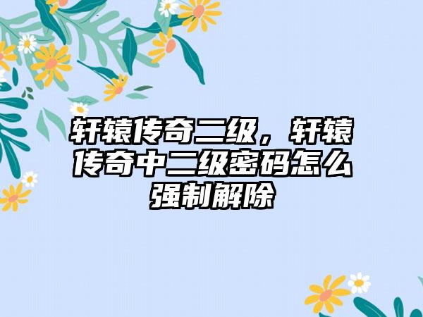 轩辕传奇二级，轩辕传奇中二级密码怎么强制解除