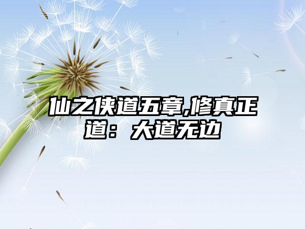 仙之侠道五章,修真正道：大道无边