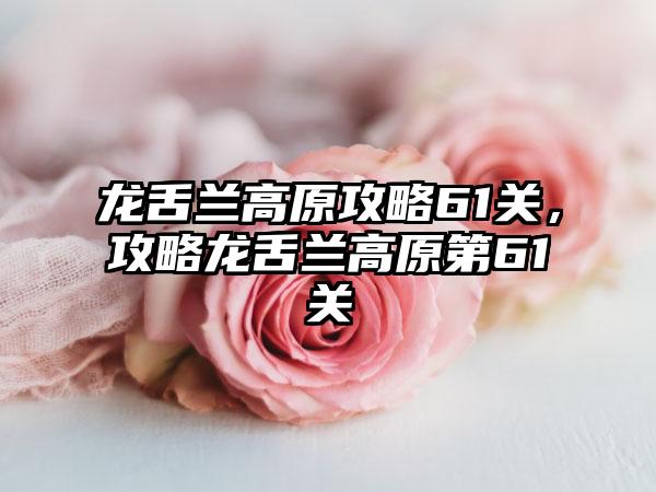 龙舌兰高原攻略61关，攻略龙舌兰高原第61关