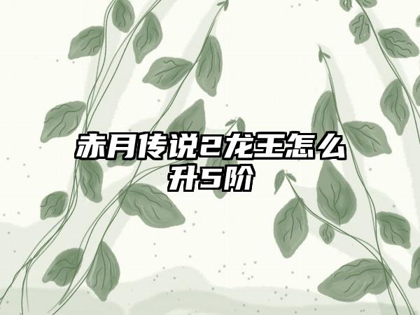 赤月传说2龙王怎么升5阶