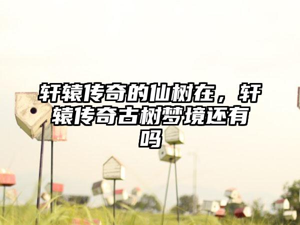 轩辕传奇的仙树在，轩辕传奇古树梦境还有吗