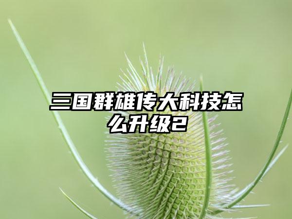 三国群雄传大科技怎么升级2
