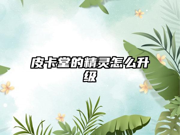 皮卡堂的精灵怎么升级