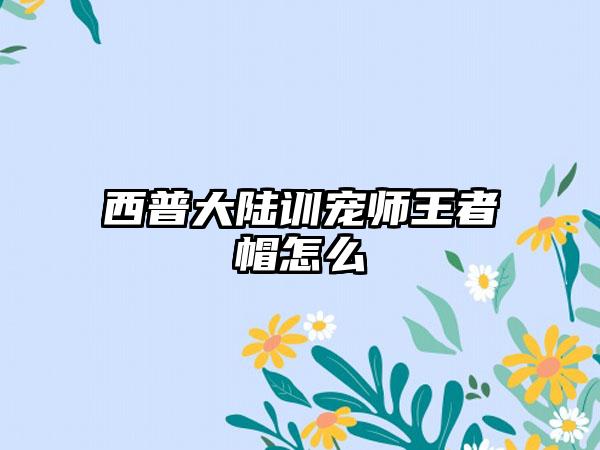 西普大陆训宠师王者帽怎么