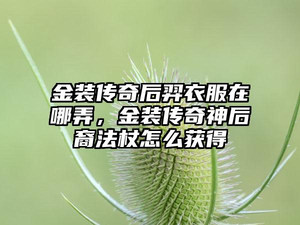 金装传奇后羿衣服在哪弄，金装传奇神后裔法杖怎么获得