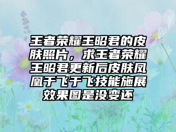 王者荣耀王昭君的皮肤照片，求王者荣耀王昭君更新后皮肤凤凰于飞于飞技能施展效果图是没变还