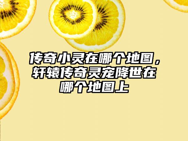 传奇小灵在哪个地图，轩辕传奇灵宠降世在哪个地图上