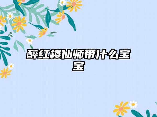 醉红楼仙师带什么宝宝