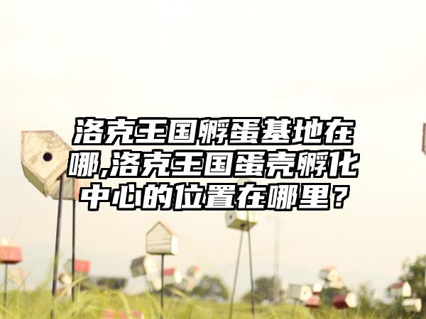 洛克王国孵蛋基地在哪,洛克王国蛋壳孵化中心的位置在哪里？