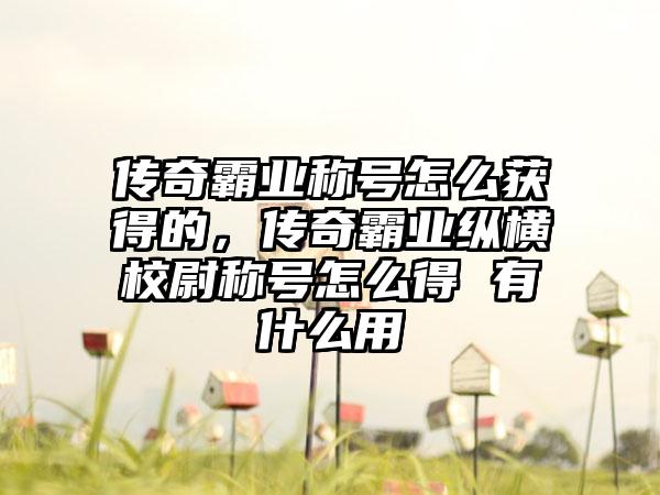 传奇霸业称号怎么获得的，传奇霸业纵横校尉称号怎么得 有什么用