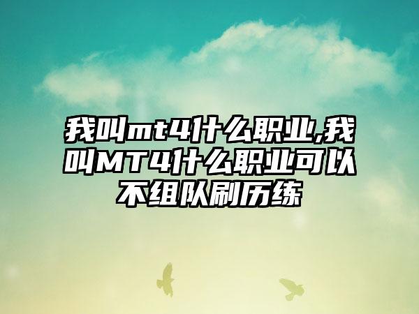 我叫mt4什么职业,我叫MT4什么职业可以不组队刷历练