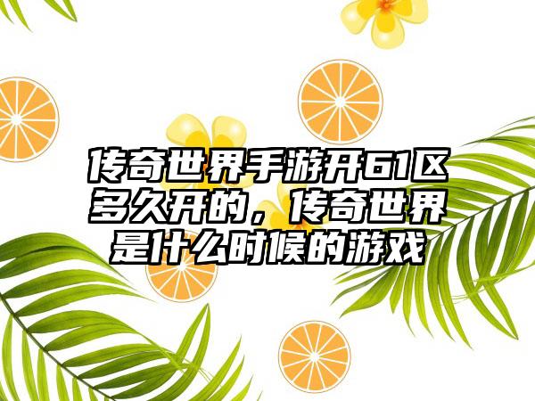 传奇世界手游开61区多久开的，传奇世界是什么时候的游戏