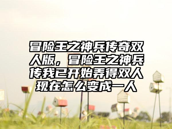 冒险王之神兵传奇双人版，冒险王之神兵传我已开始弄得双人现在怎么变成一人