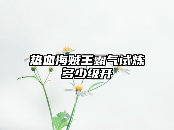 热血海贼王霸气试炼多少级开