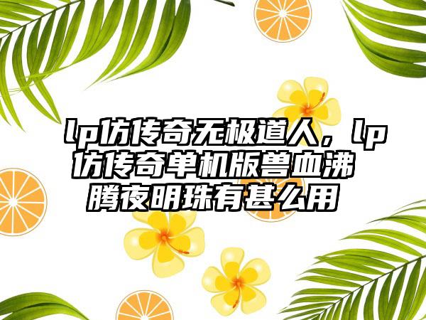 lp仿传奇无极道人，lp仿传奇单机版兽血沸腾夜明珠有甚么用