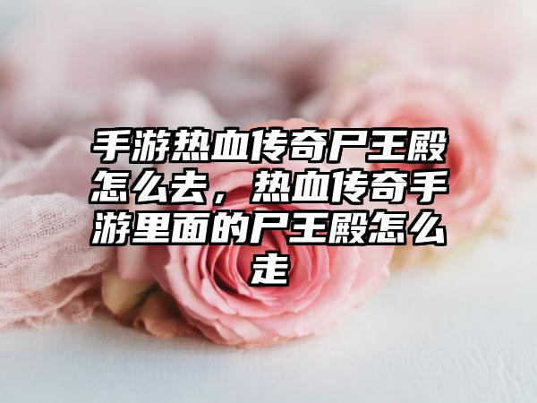 手游热血传奇尸王殿怎么去，热血传奇手游里面的尸王殿怎么走