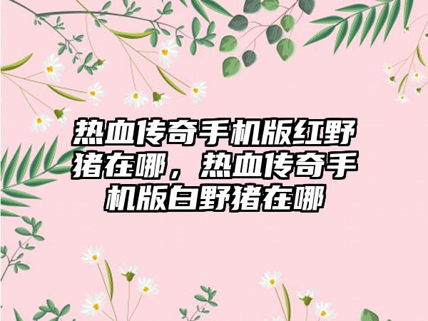 热血传奇手机版红野猪在哪，热血传奇手机版白野猪在哪