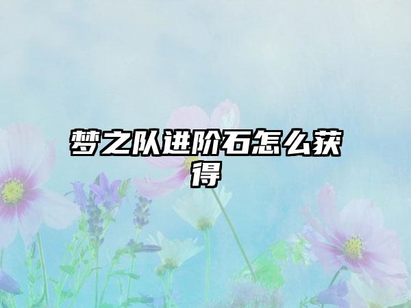 梦之队进阶石怎么获得