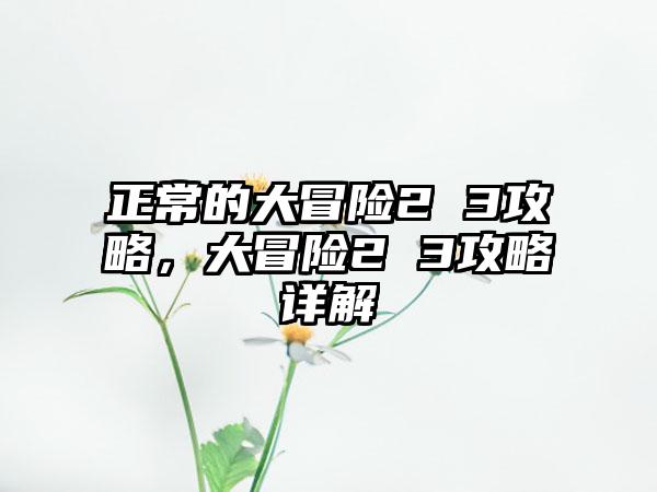 正常的大冒险2 3攻略，大冒险2 3攻略详解