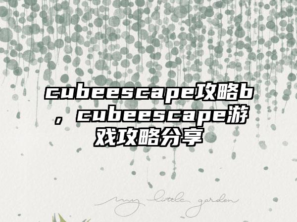 cubeescape攻略b，cubeescape游戏攻略分享