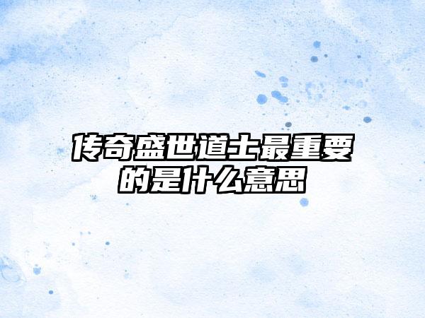 传奇盛世道士最重要的是什么意思