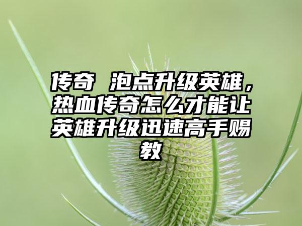 传奇 泡点升级英雄，热血传奇怎么才能让英雄升级迅速高手赐教