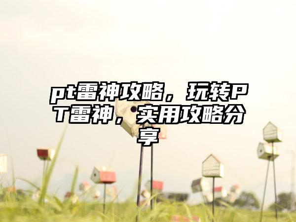 pt雷神攻略，玩转PT雷神，实用攻略分享