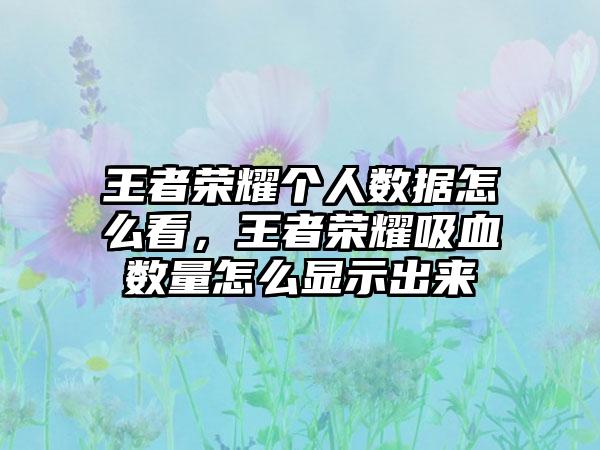 王者荣耀个人数据怎么看，王者荣耀吸血数量怎么显示出来