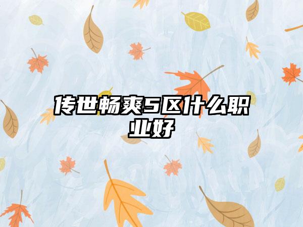 传世畅爽5区什么职业好