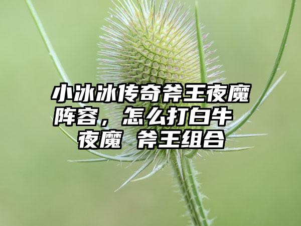 小冰冰传奇斧王夜魔阵容，怎么打白牛 夜魔 斧王组合