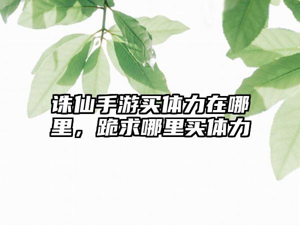 诛仙手游买体力在哪里，跪求哪里买体力