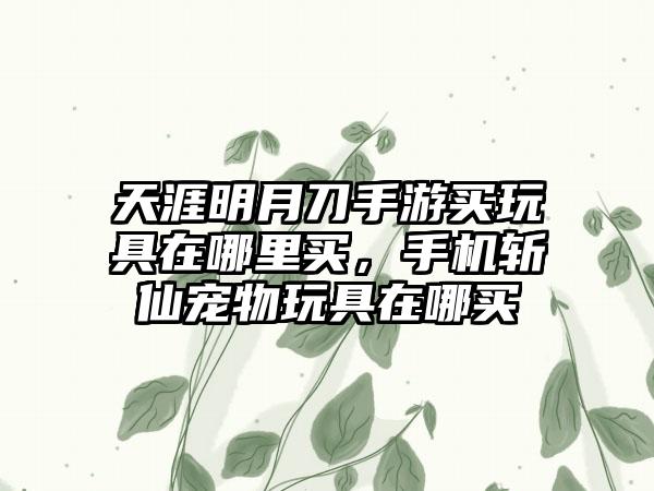 天涯明月刀手游买玩具在哪里买，手机斩仙宠物玩具在哪买